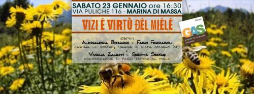Vizi e virtù del miele